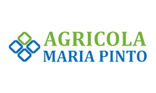 mariapinto_mypingenieria